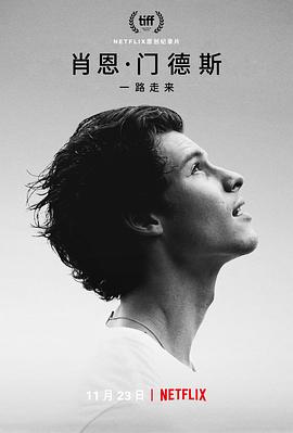 肖恩&middot;门德斯：一路走来