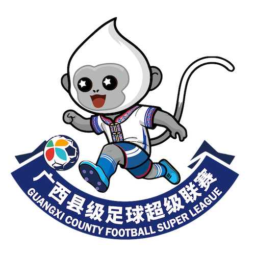 广西县级足球超级联赛崇左市龙州县队2-4钦州市钦北区队20260321